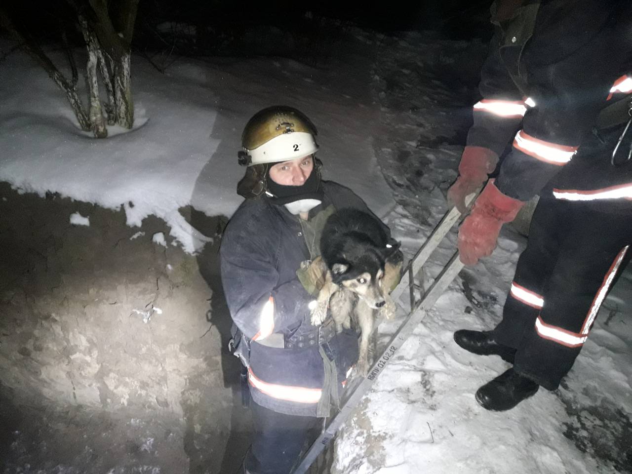 У Луцькому районі рятувальники визволили з ями собаку