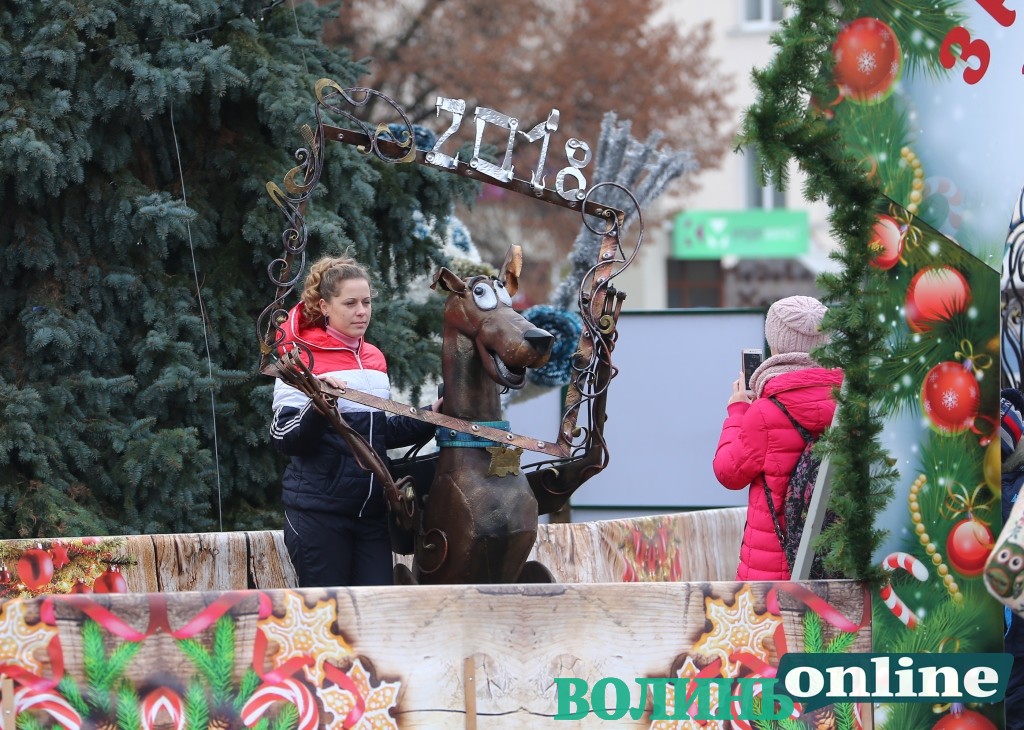 Скільки витратять, щоб розібрати новорічні ялинки у Луцьку