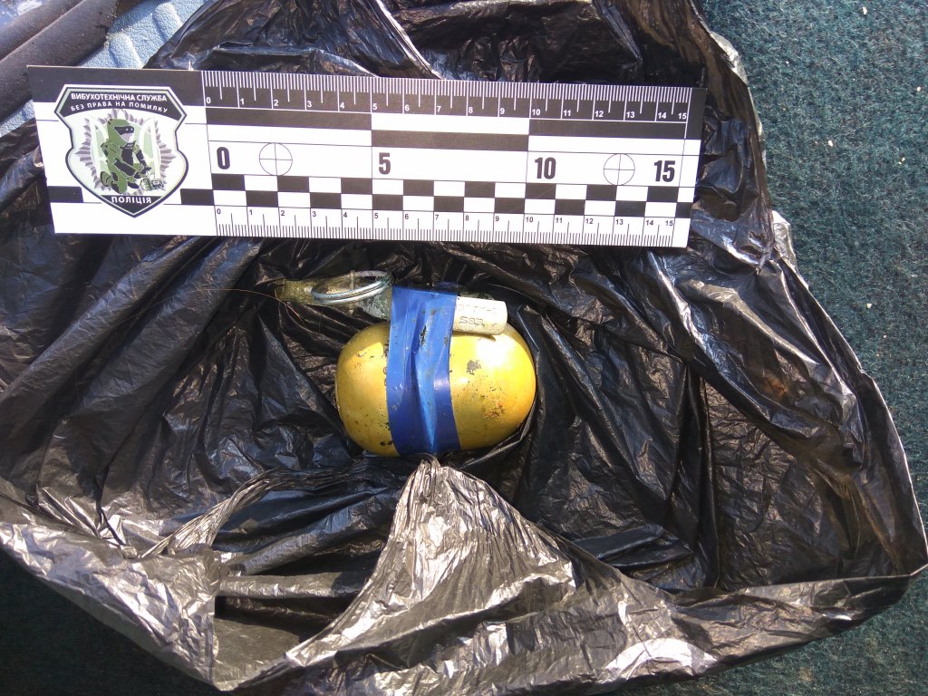 Волинянину за зберігання гранати загрожує до семи років позбавлення волі