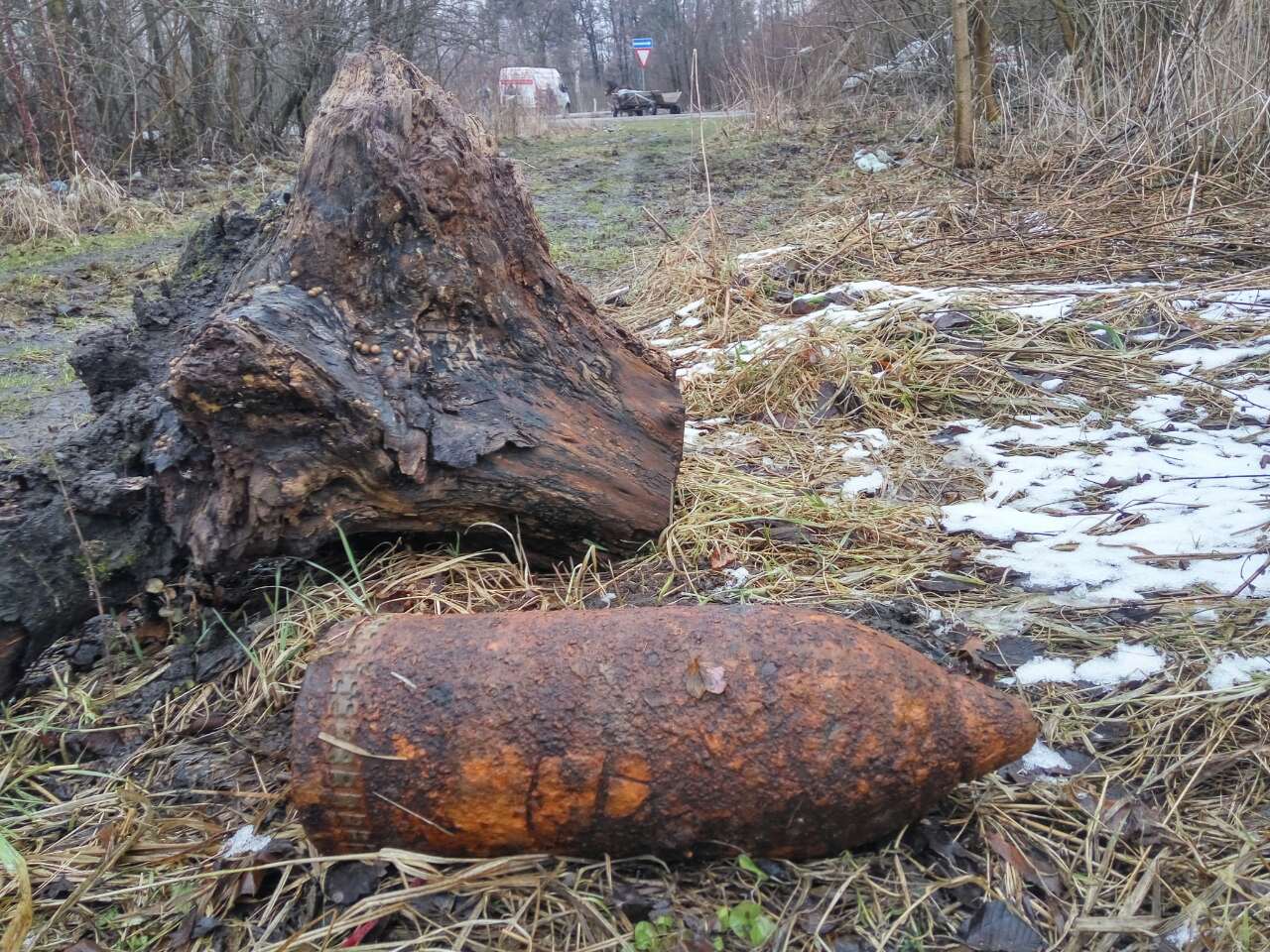 Волинські піротехніки знешкодили два артилерійські снаряди