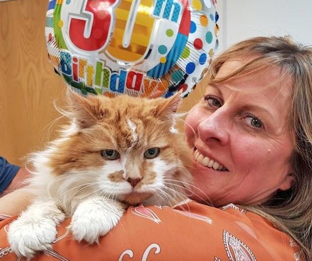 Найстаріша кішка у світі відсвяткувала 30-й день народження