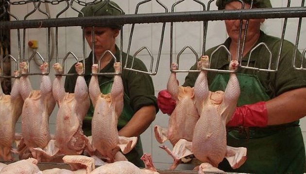 М’ясо птиці з України може з’явитись на японському ринку