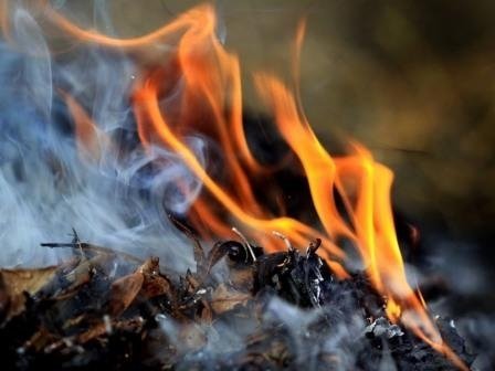 Лучанам нагадують про заборону спалювання сухих рослинних залишків та  сміття - Волинь Online