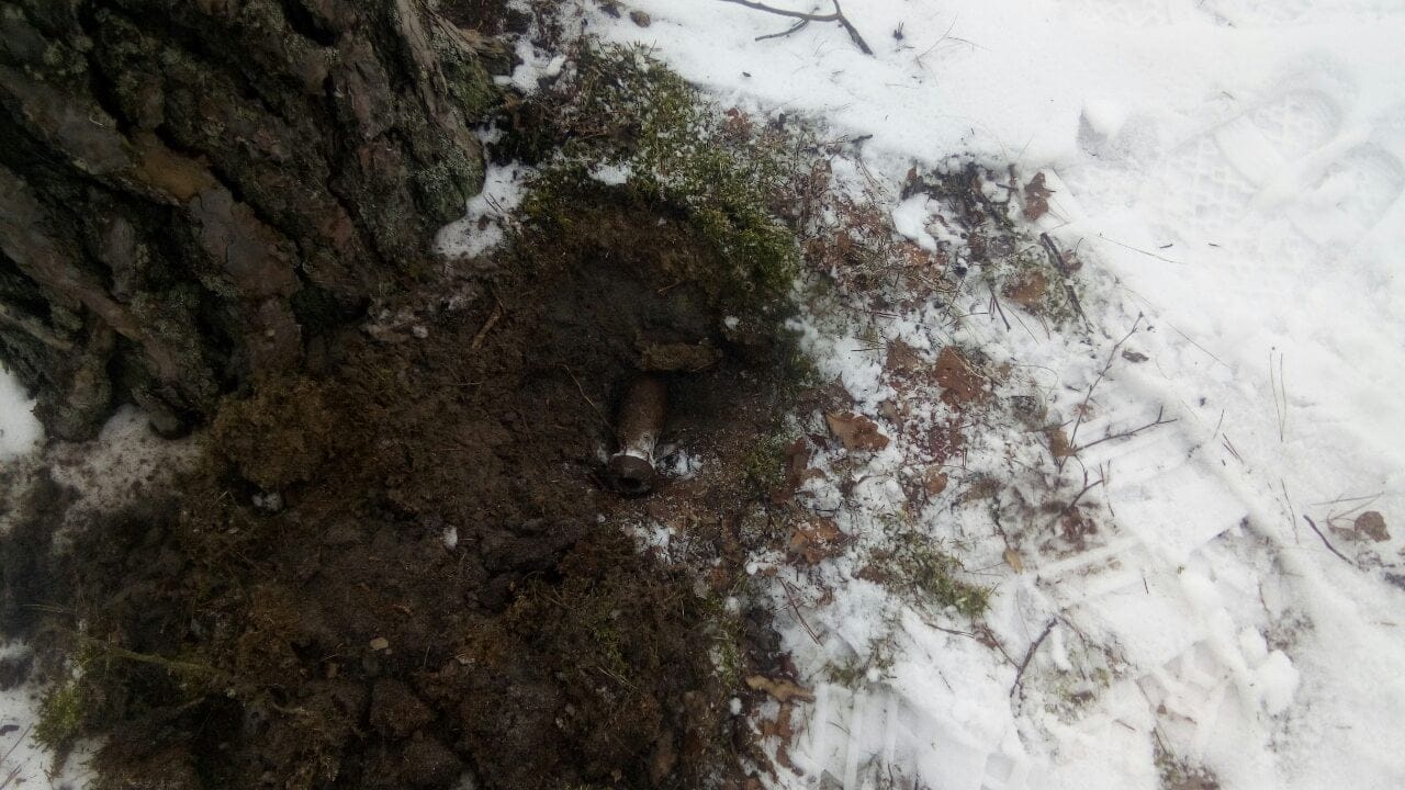 Волиняни під час заготівлі дров у лісі знайшли боєприпаси. ФОТО