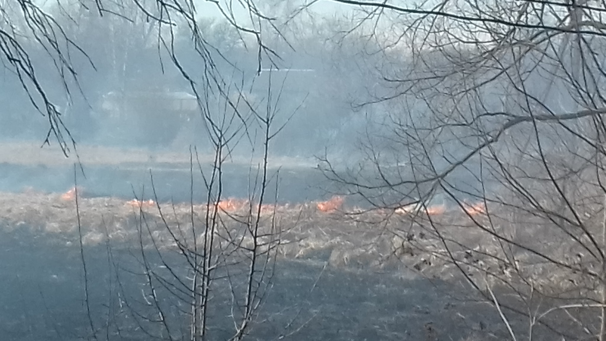 За минулу добу на Волині сталося 15 пожеж в екосистемах