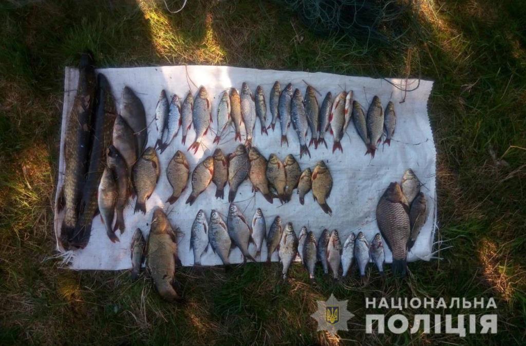 На Волині поліція вилучила у порушників понад 300 кілограмів риби