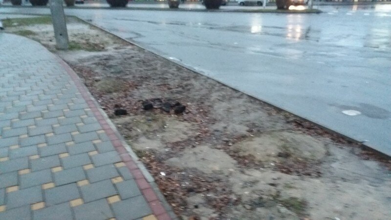 У Луцьку скаржаться на працівників магазину та підрядника, які зруйнували газони між тротуаром і дорогою