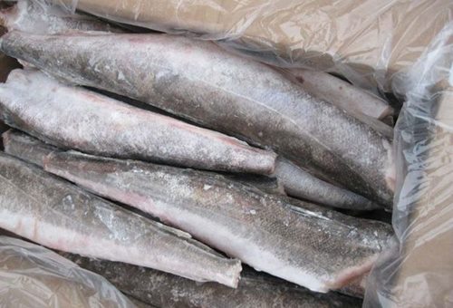 Для закладів освіти Луцька придбають рибу за майже 3,5 мільйона