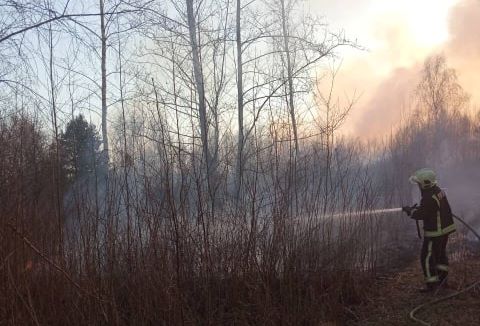 На Волині вогнеборці загасили 17 пожеж сухої трави за добу