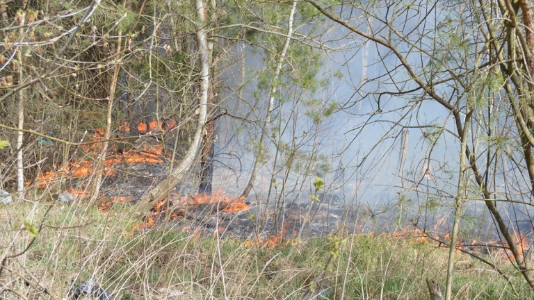 На Волині – загроза лісових пожеж через підпали смітників