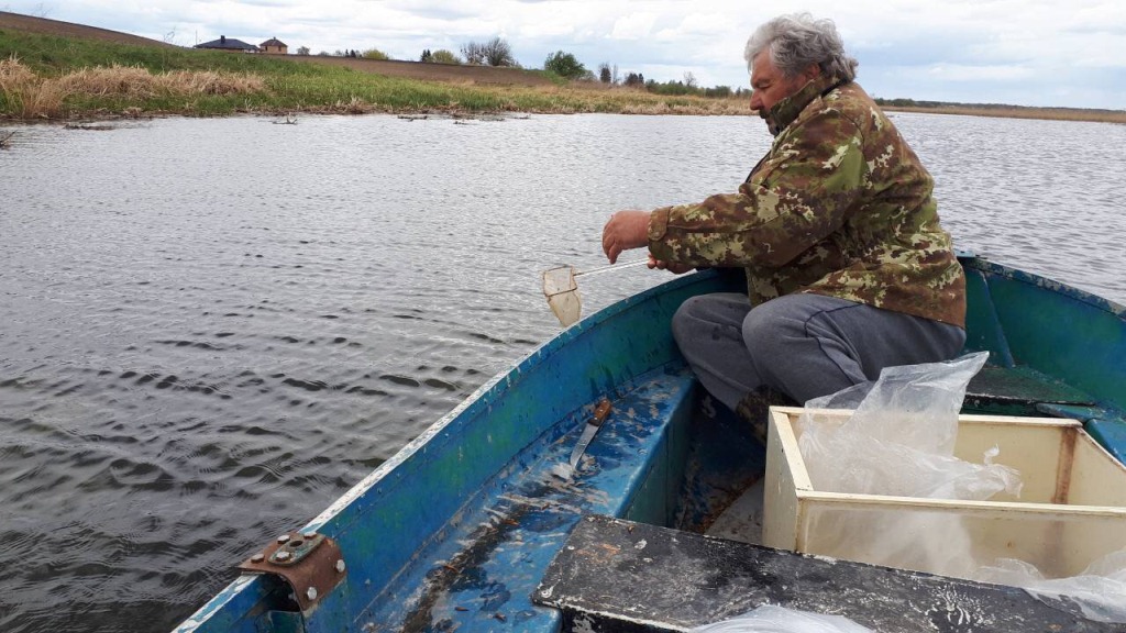 На Волині випустили рибу у водосховище