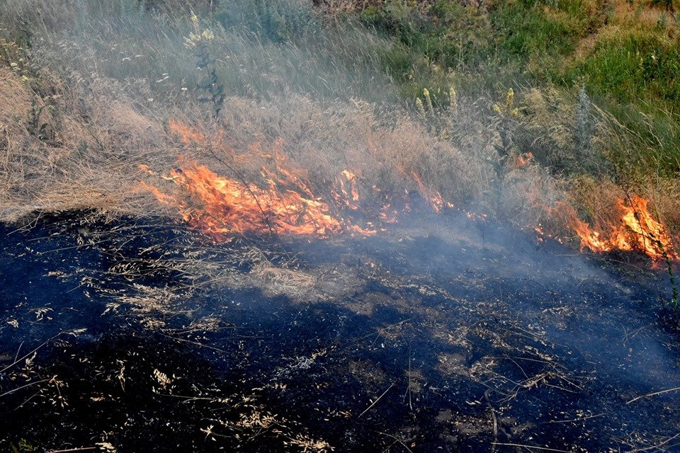 На Волині виникло вісім пожеж сухої трави за добу