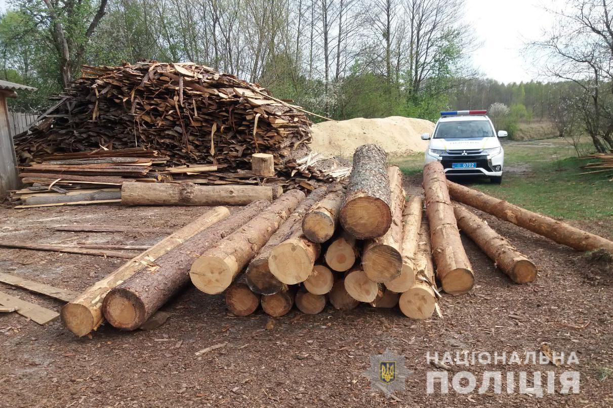На Волині виявили понад сотню колод деревини без відповідних документів
