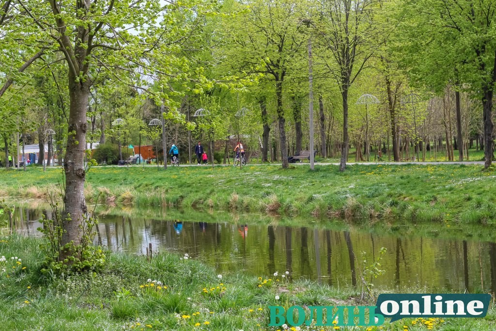 На знищення комах у центральному парку Луцька витратять майже 50 тисяч