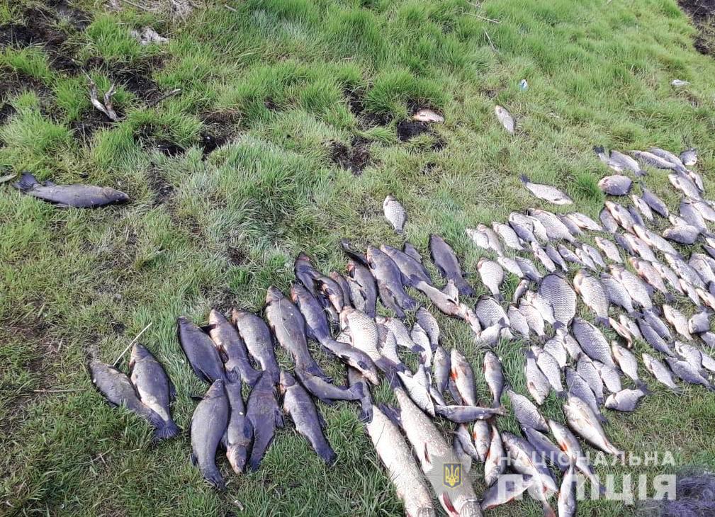Правоохоронці викрили трьох волинян у незаконному вилові риби