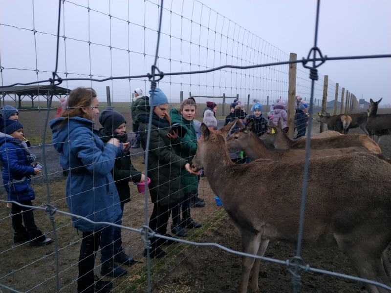 Школярам з громади на Волині організували святкову екскурсію до екопарку