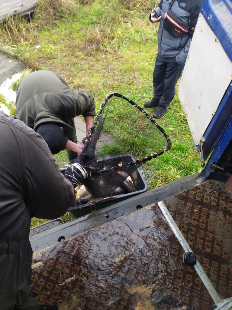До водосховища на Волині вселили понад дві тонни цінних видів риб