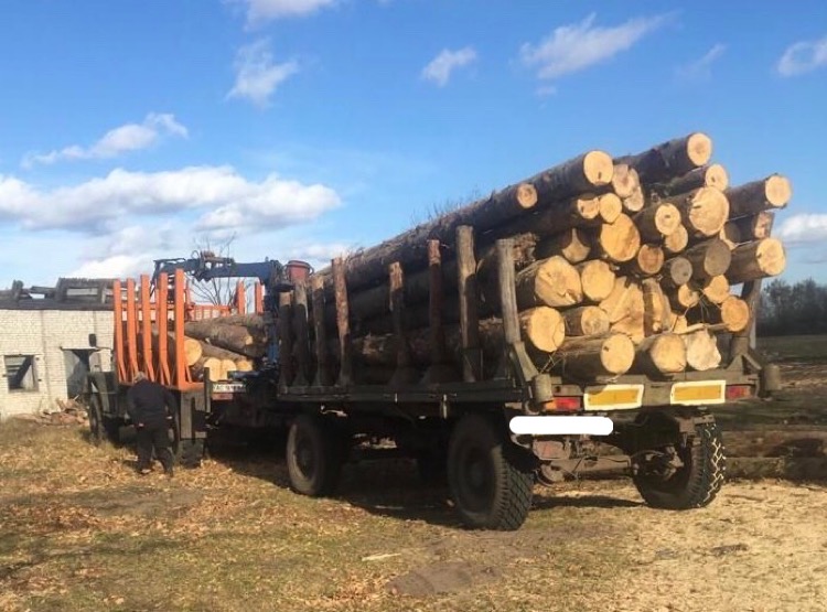 На Волині вилучили незаконну деревину вартістю близько 800 тисяч гривень