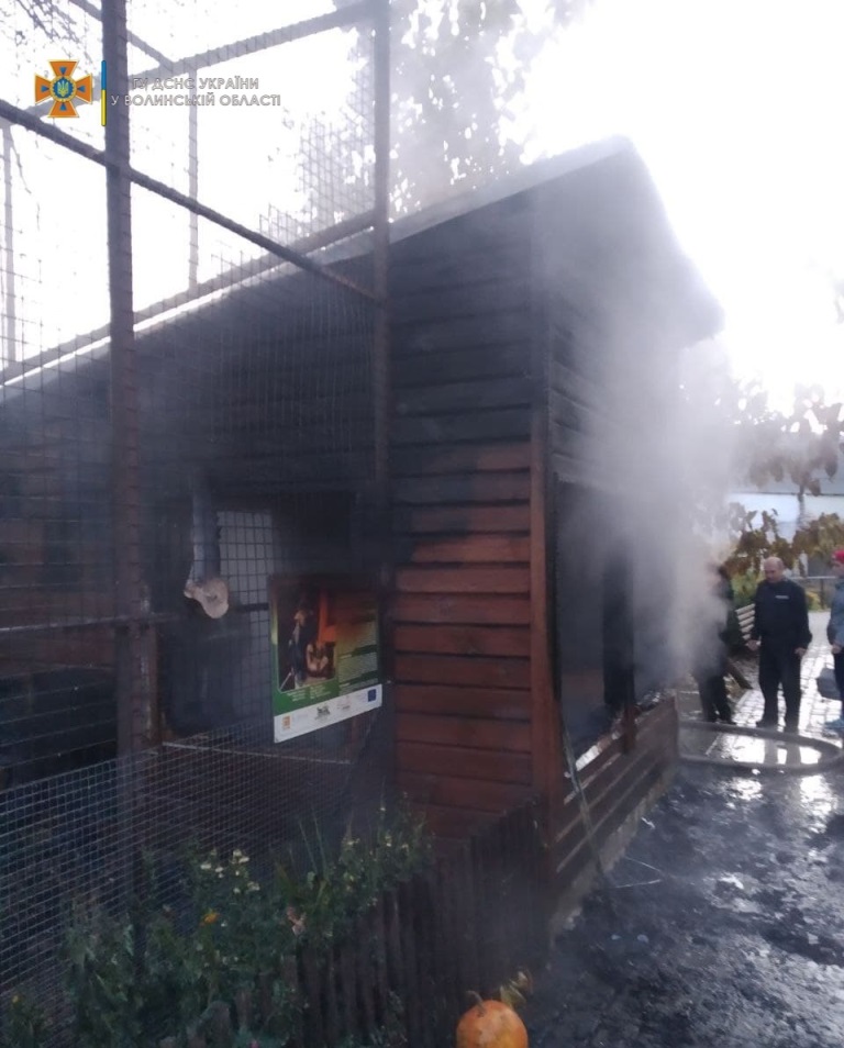 У Луцькому зоопарку ліквідували пожежу: у вогні загинули мавпочки