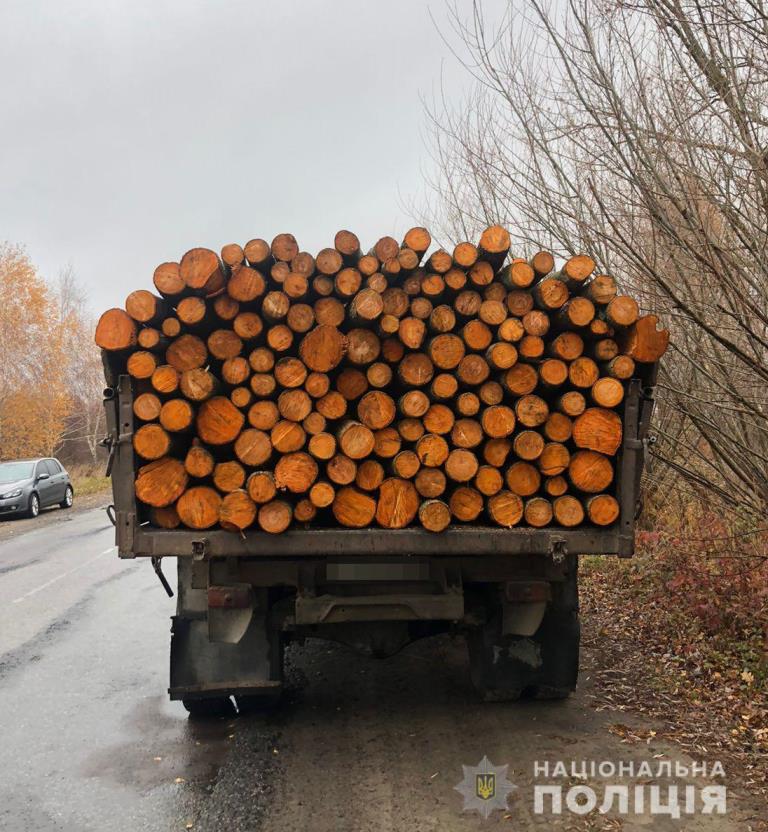 На Любомльщині поліцейські виявили факт незаконного перевезення деревини