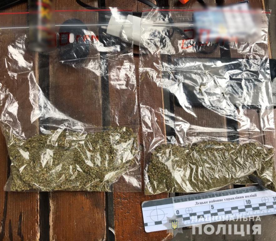 Поліцейські вилучили у лучанина наркотики на понад 10 тисяч гривень