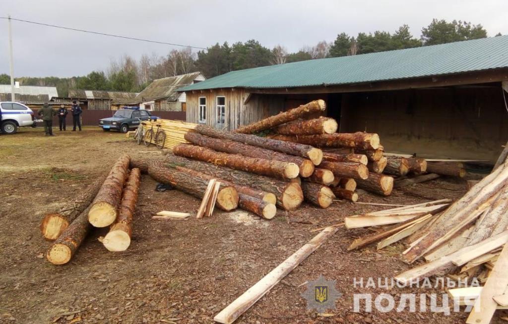 На Любомльщині правоохоронці вилучили деревину сумнівного походження