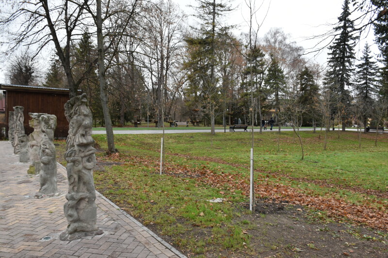 У центральному парку Луцька висадили понад 80 дерев