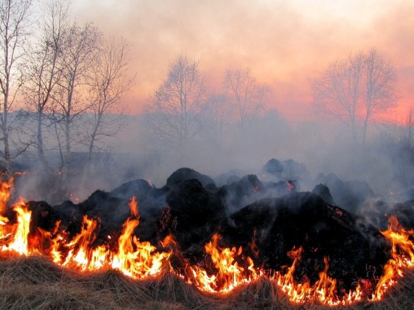 Як на Волині протидіють пожежам в екосистемах