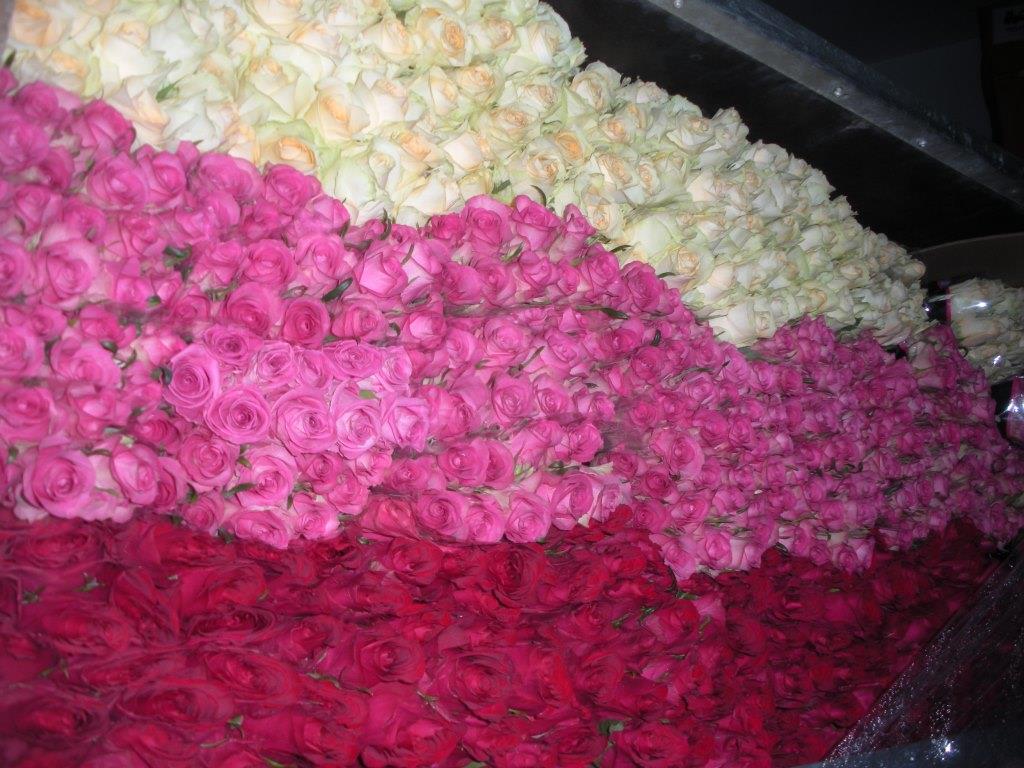 Волинська митниця продає з аукціону квіти на суму майже 1,5 мільйона гривень