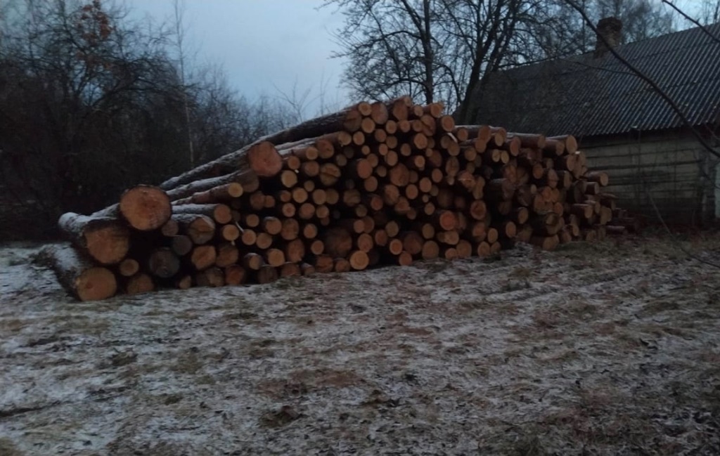 На Камінь-Каширщині вилучили незаконну деревину вартістю 300 тисяч гривень