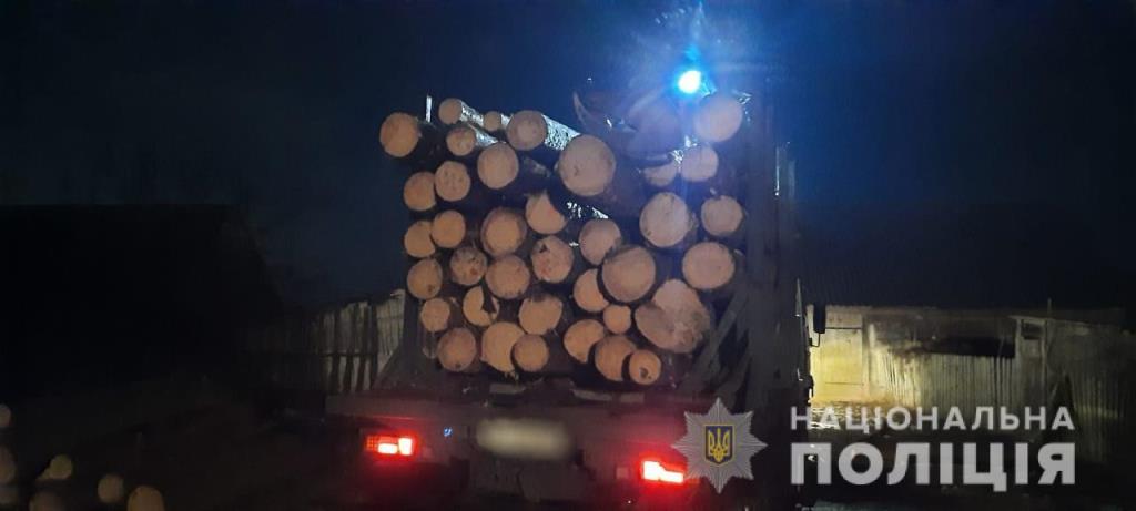 На Волині поліцейські розслідують факти щодо незаконно зрізаної деревини