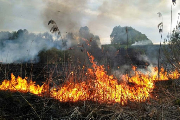 Ковельчанам нагадують про заборону спалювання сухої трави