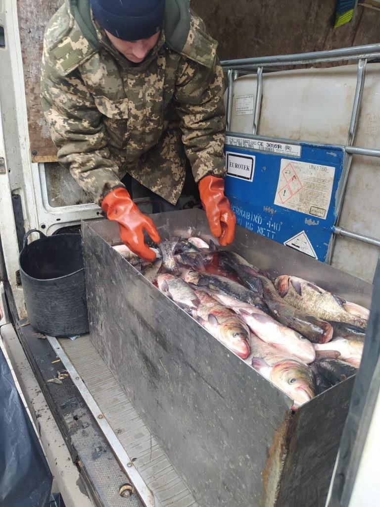 Підприємці, які розводять рибу на Волині, допомагають Українській армії