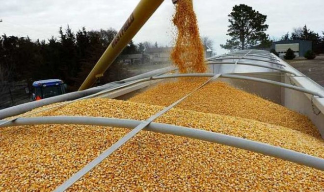 Харківщина буде з хлібом: з Волині відправлять дві тисячі тонн зерна