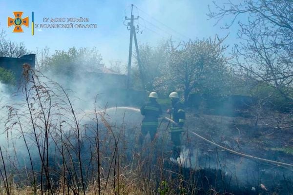 Умисні підпали: минулої доби на Волині ліквідували дві пожежі сухої трави