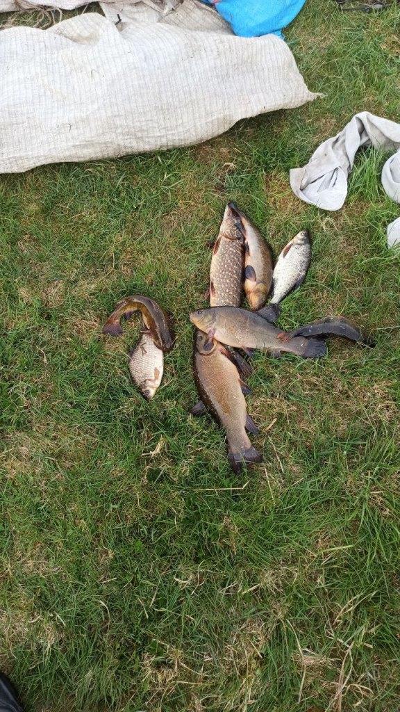На річці Турія браконьєр завдав збитків рибним запасам на майже 15 тисяч гривень