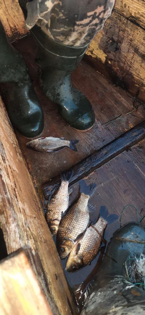 На озері Довге на Волині порушник завдав шкоди природі на понад шість тисяч гривень