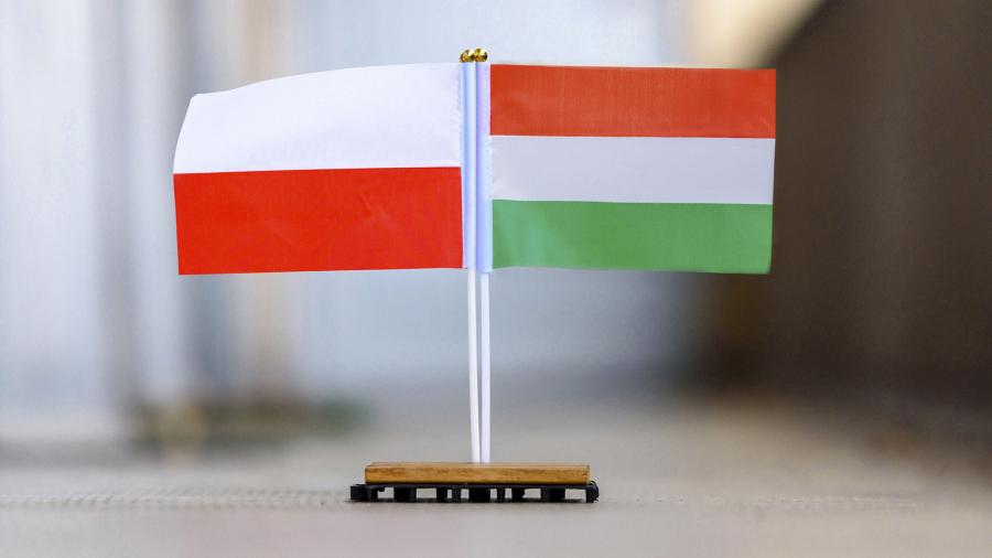 Польща буде до останнього переконувати Угорщину підтримати санкції проти рф