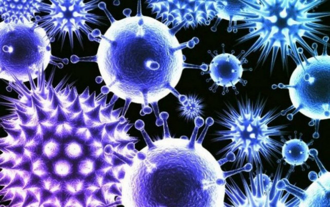 Ротавірусні та керовані інфекції, гепатит А, коронавірус: стан епідемічної ситуації на Волині