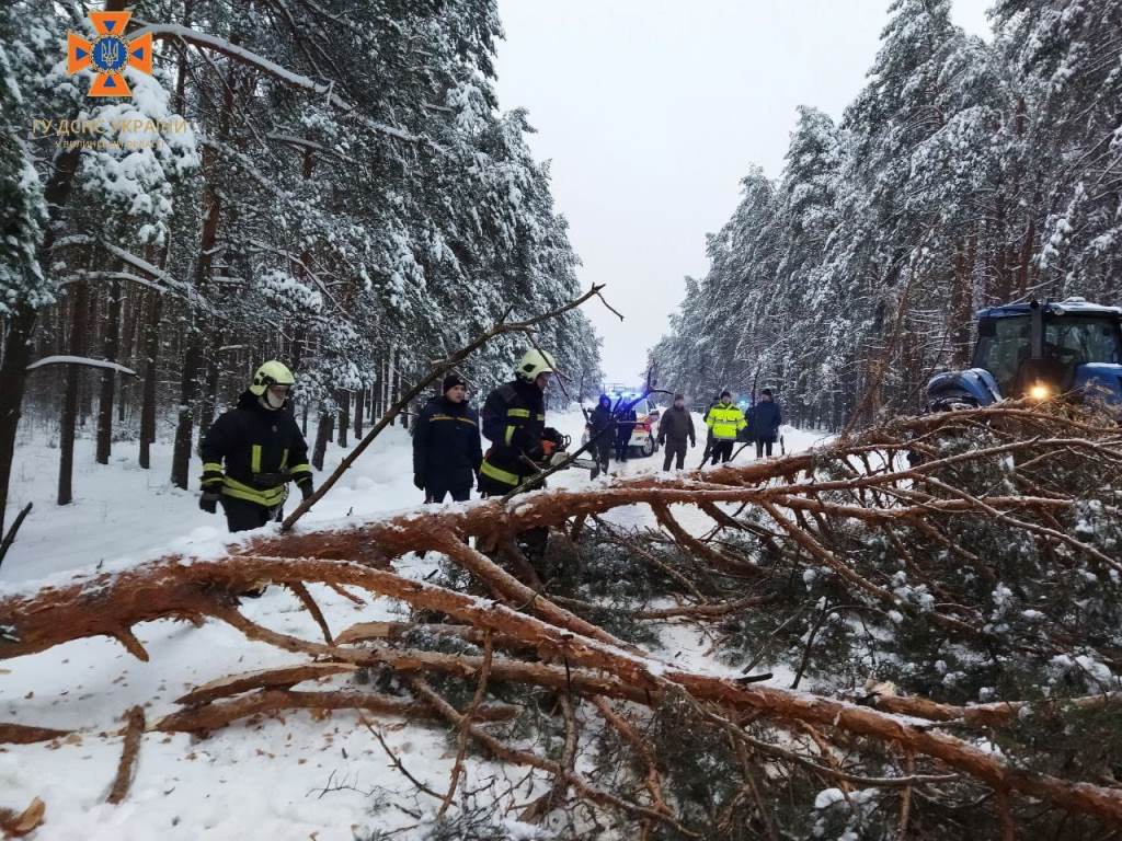 Негода на Волині: повалені дерева блокують рух транспорту