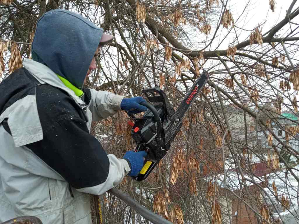 У Володимирі здійснюють кронування дерев