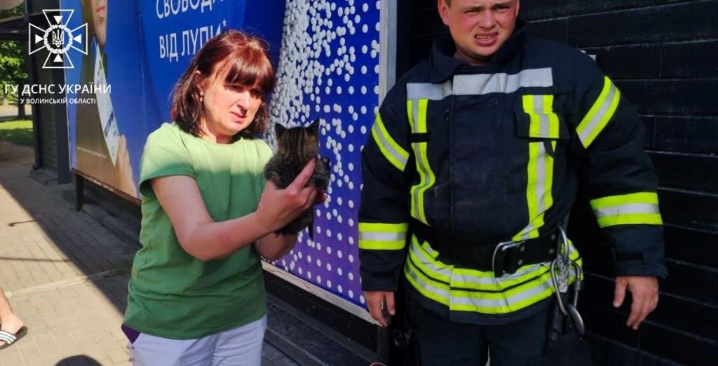 Волинські рятувальники за добу ліквідували три пожежі та врятували кота