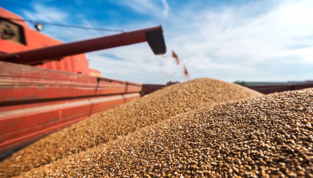 Розтратила належне державі зерно пшениці на суму понад 1,3 мільйона гривень – судитимуть працівницю зерносховища на Волині