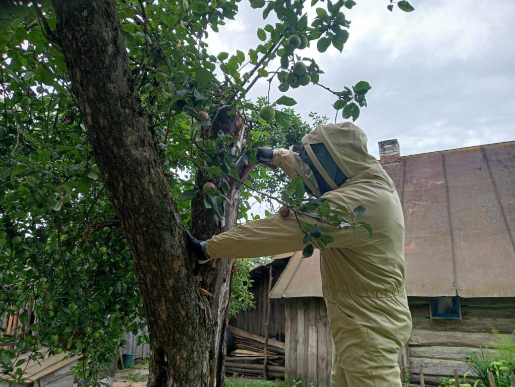 На Волині за добу ліквідували пожежу будинку та гнізда шершнів