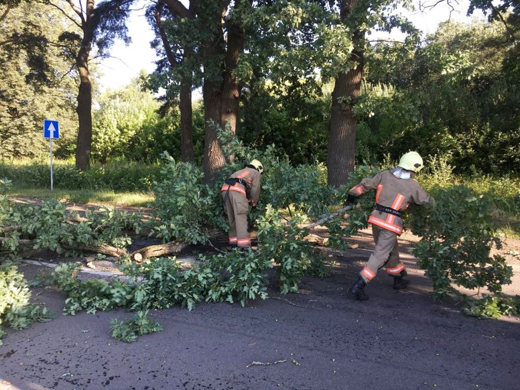 На Волині рятувальники розчистили дорогу від поваленого дерева