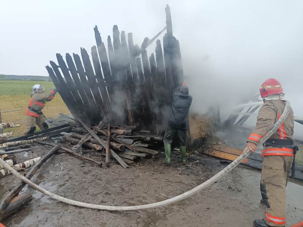 На Волині ліквідували пожежу, що виникла у результаті влучання блискавки