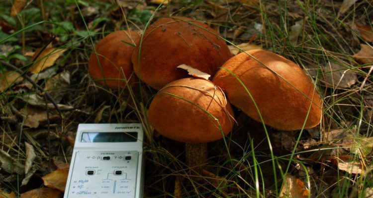 У Маневицькій громаді проаналізували вміст радіонуклідів у продуктах харчування