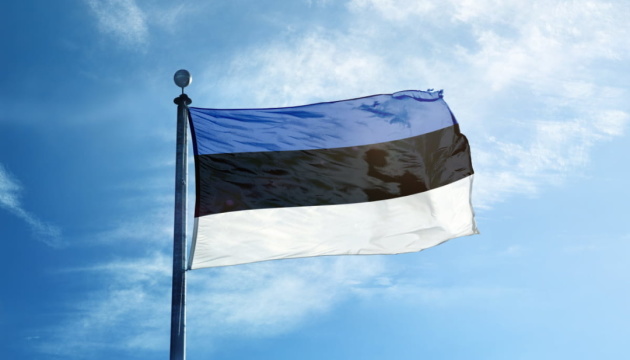 Естонія відправить Україні партію зброї та боєприпасів