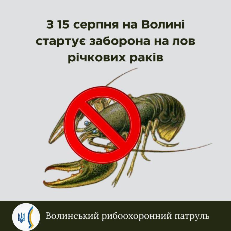 У водоймах Волині стартує заборона на вилов раків