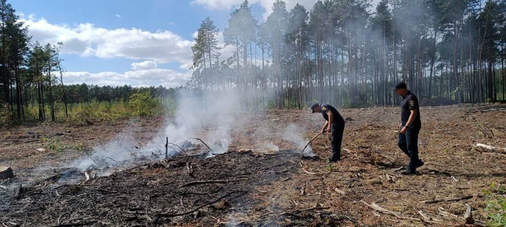 На Волині за допомогою безпілотника виявили пожежу на лісовій галявині